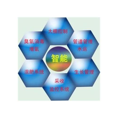 栽植機械 農業機械化中的蔬菜種植利器